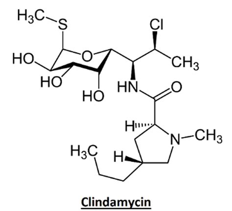 clindamycinmis|Clindamycin: Uses, Interactions, Mechanism of Action .